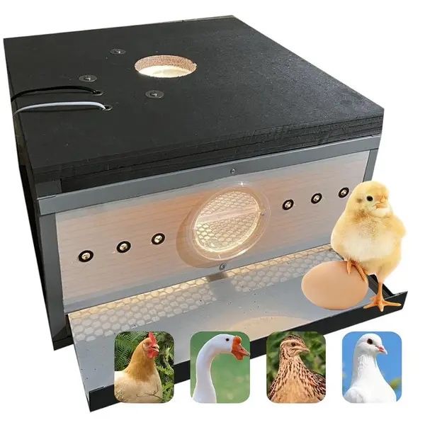 Вигідна ціна! Брудер для птиці Брудер на 50 курчат Брудер з підігрівом