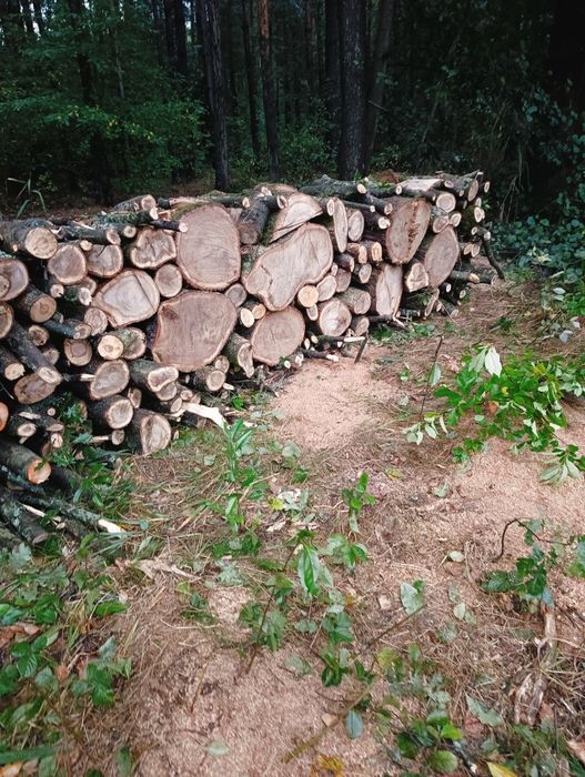 Drewno kominkowe, DĄB,OLCHA,BRZOZA OKAZJA!