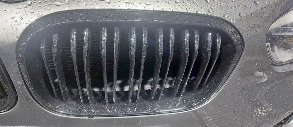 BMW Double Grilles