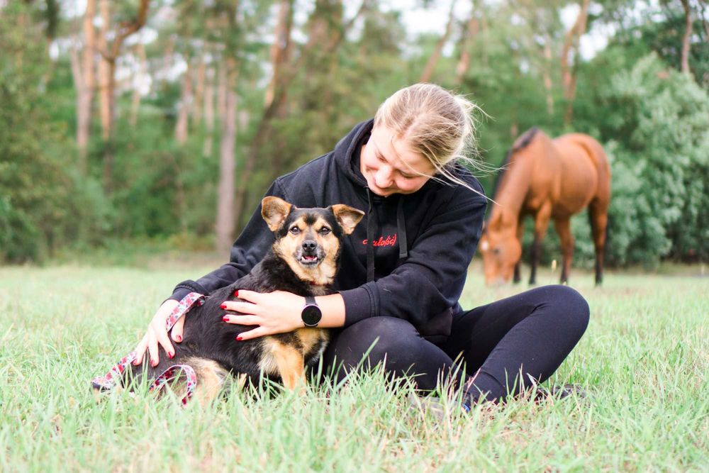 4 letni Szkrabek szuka domu!