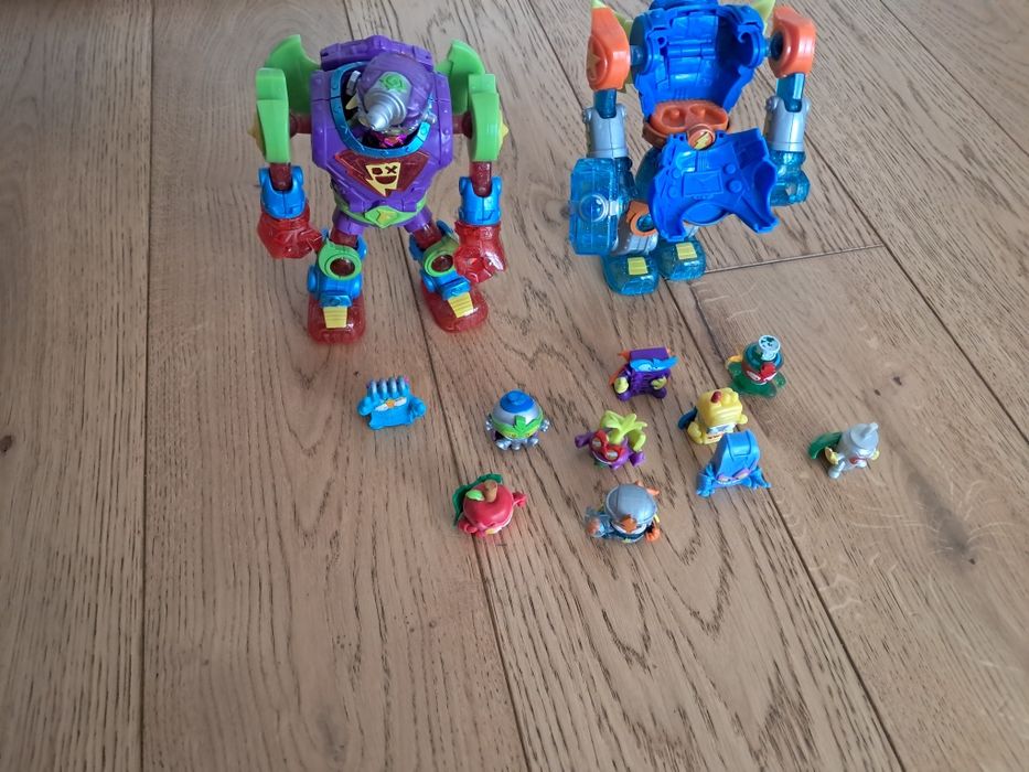 Super Zingsy  duże i małe