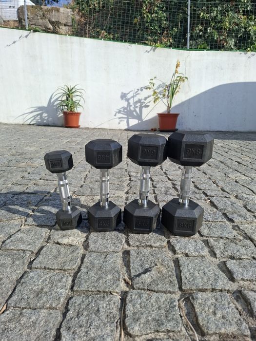 Halteres Individuais
