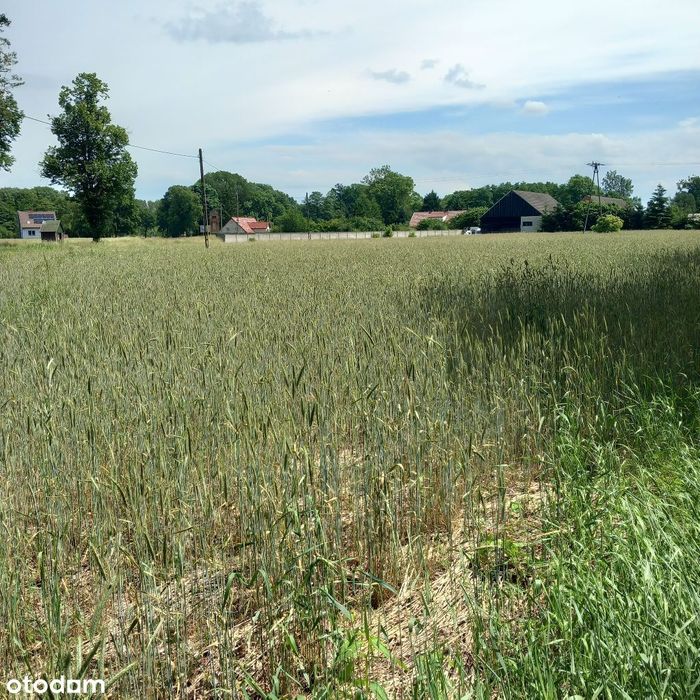 Działki 4km od miasta z kompl. mediów i utw. drogą