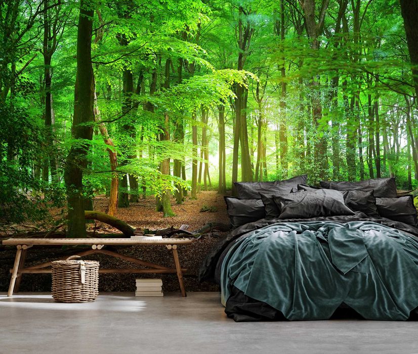 Fototapeta Las Polska Lato Zieleń Natura 3D Twój Rozmiar + KLEJ