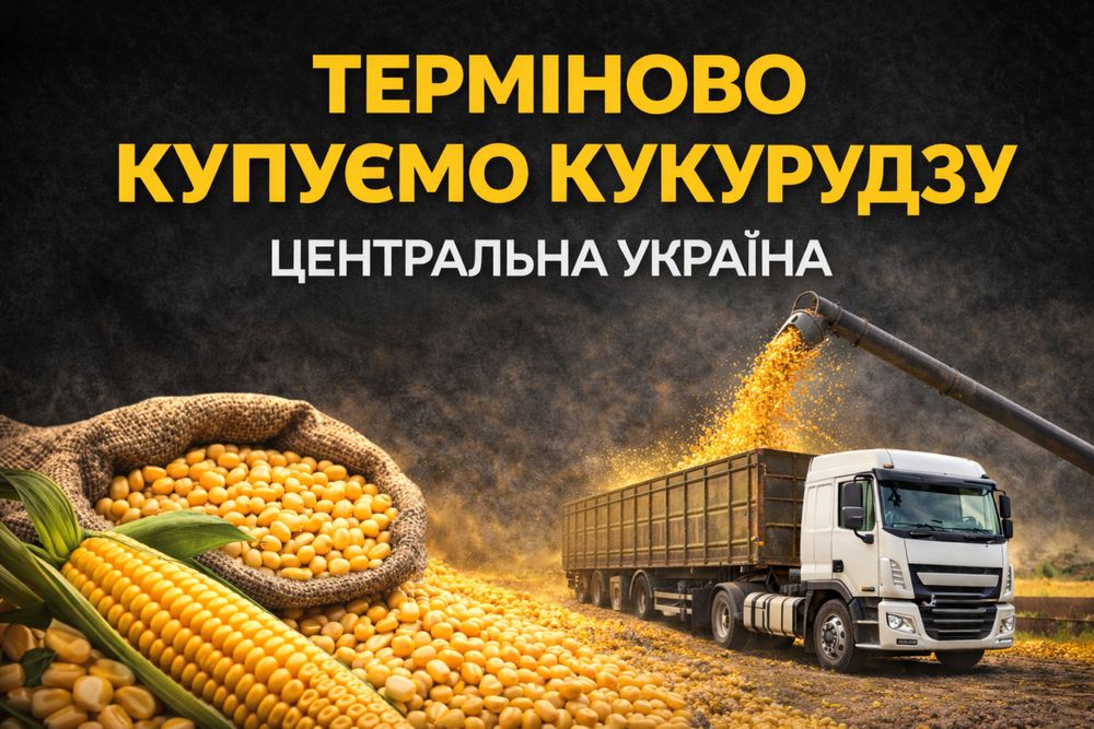 ТЕРМІНОВО Купуємо кукурудзу | Самовивіз | Центр України | від 20 т