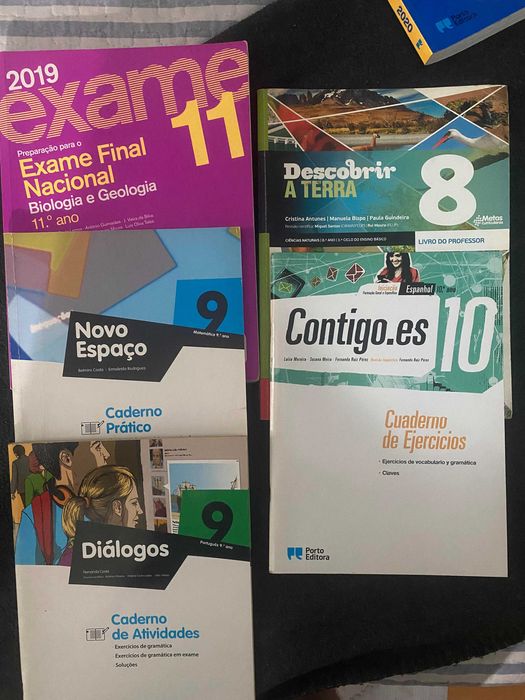 Diversos livros de diferentes anos letivos