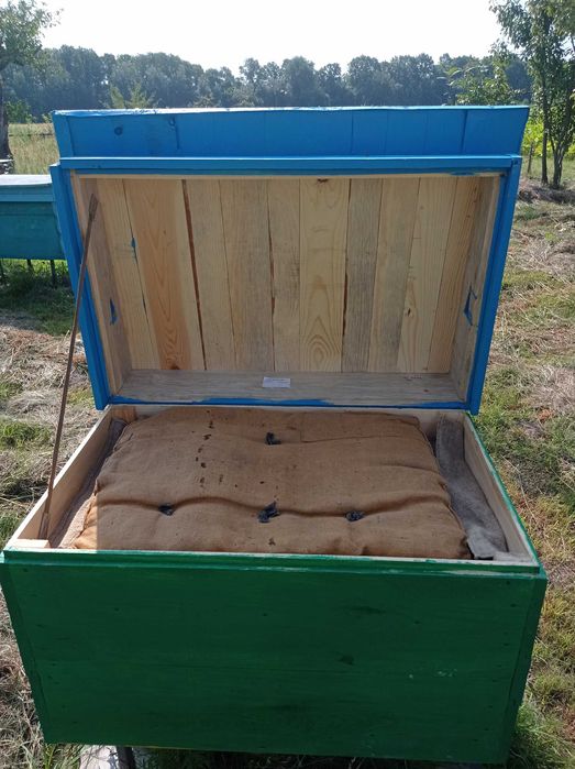 Бджоли з вуликами