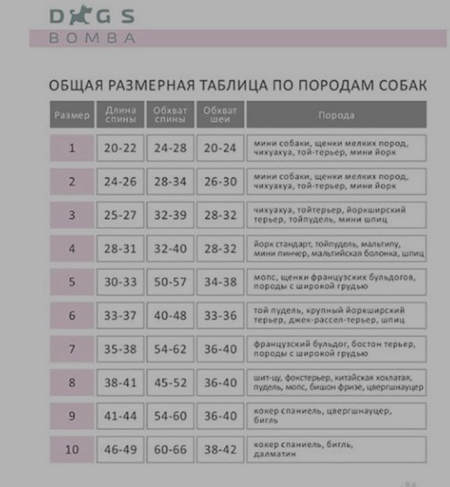 Дождевик для собаки