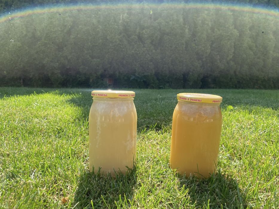 Naturalny miód z pasieki – gwarancja jakości