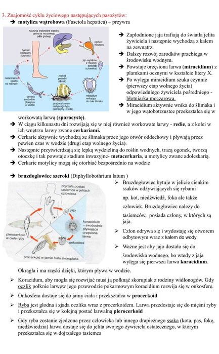 Notatki z ZOOLOGII kierunek Biotechnologia