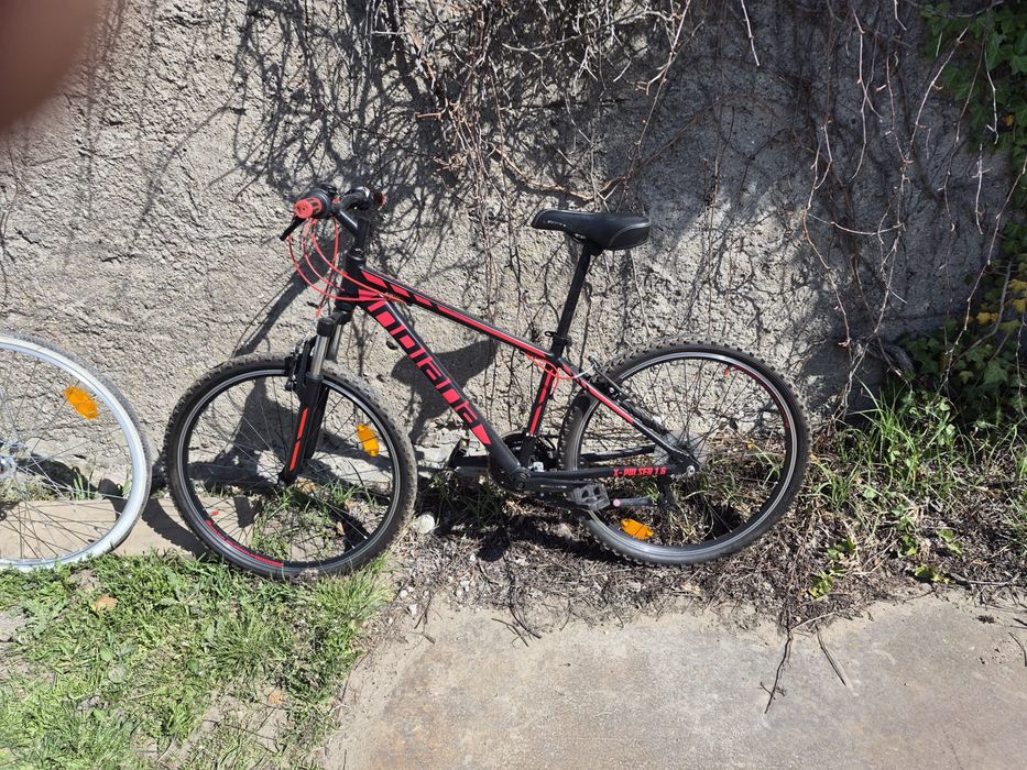 Rower gorski Indiana