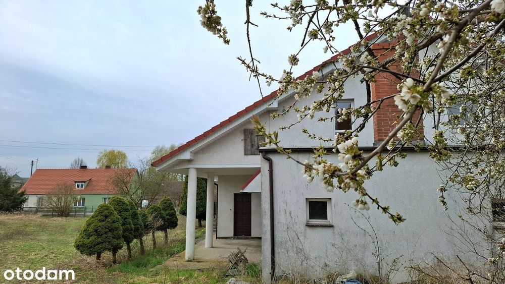Dom 200m2 na wielkiej działce-świetna lokalizacja, ATRAKCYJNA CENA!