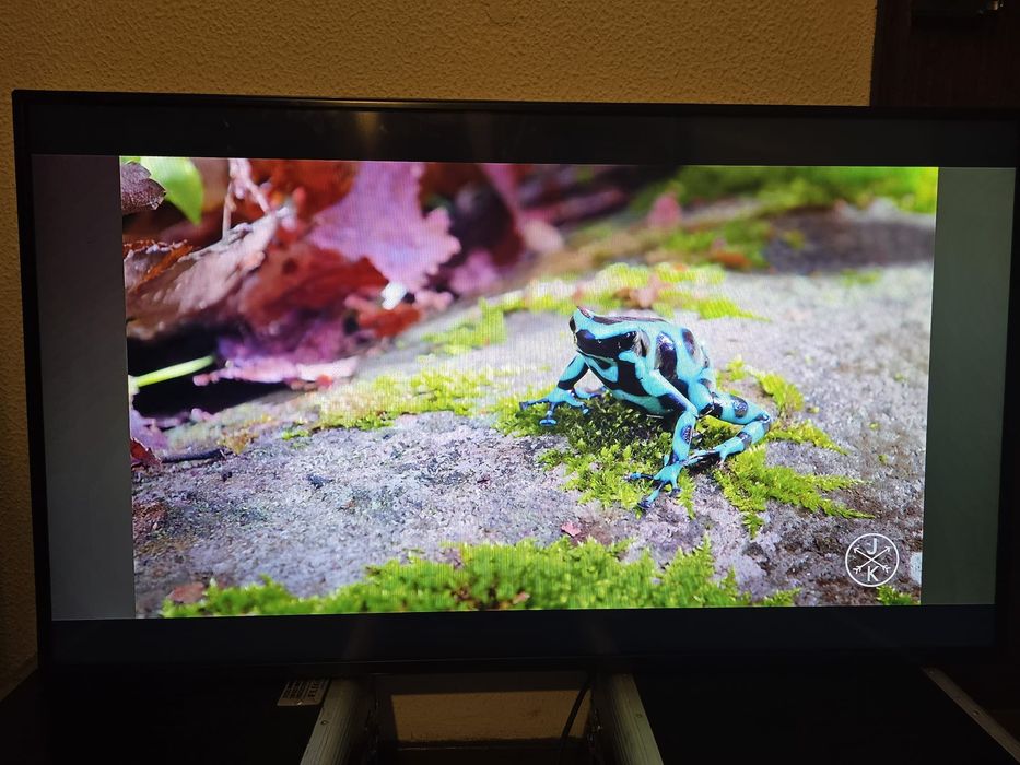 Monitor Profissional LG 49SM5D 49"