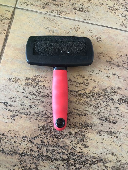 Аксессуары для собак