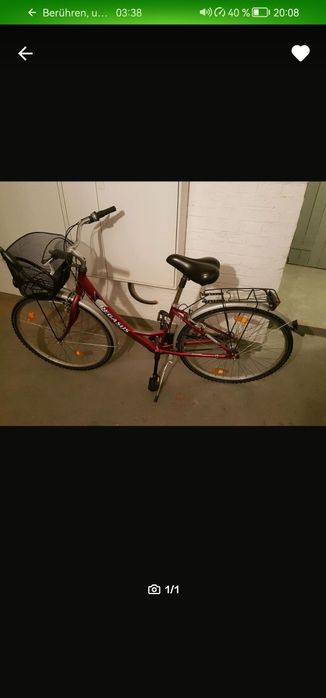 Rower damski Pegasus