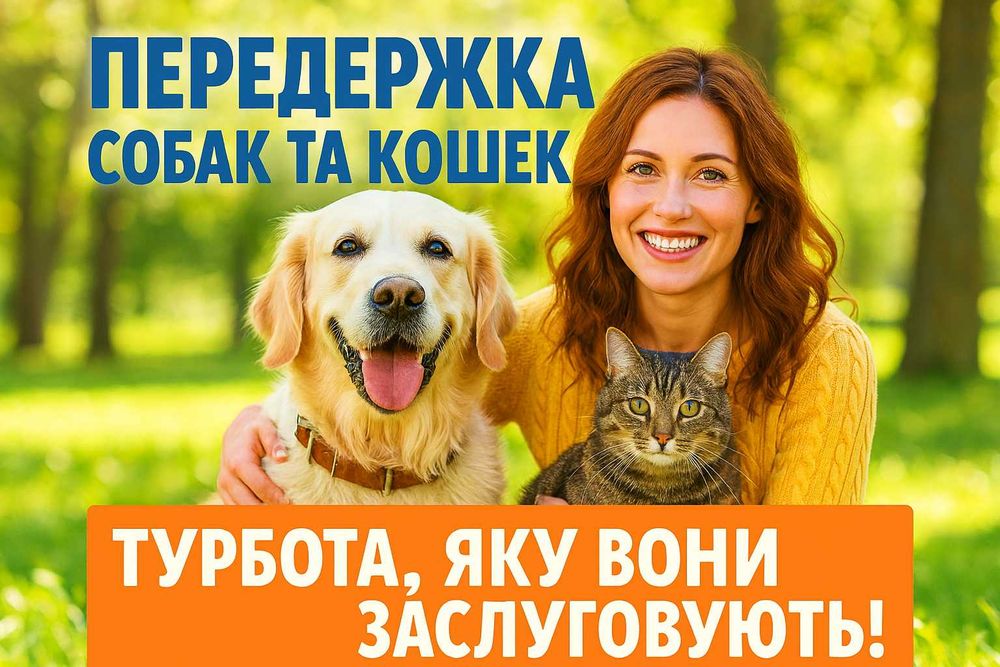 Перетримка, зооготель, передержка, готель для собак, готель для тварин