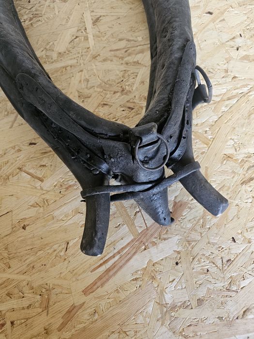 Stare homonto dla konia lub ozdoba ścienna Koszalin • OLX.pl