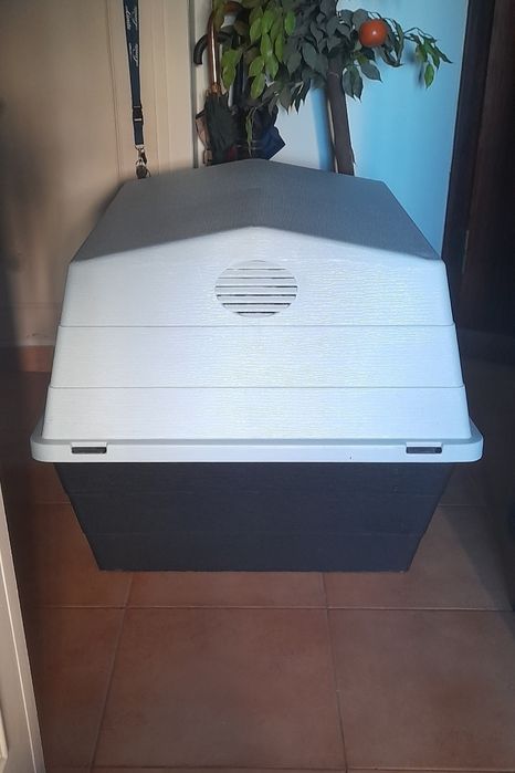 Casota de cão Média
