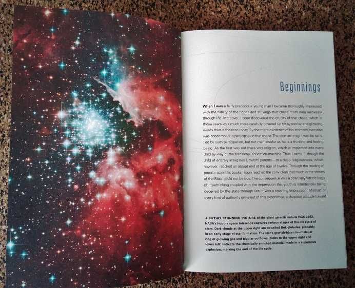 Livro - The Cosmic View of Albert Einstein