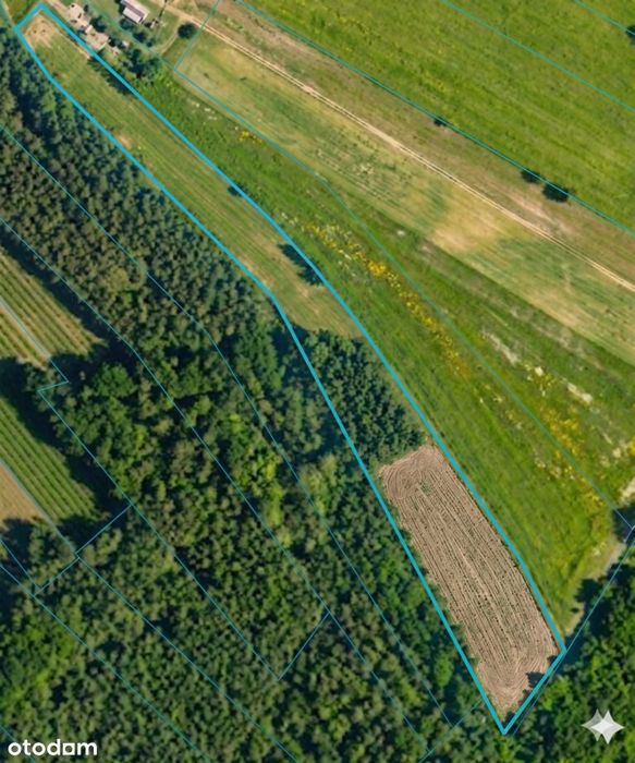 56 arów pod dom + las, razem 1,39 ha