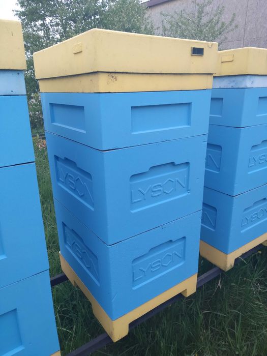 Улей из пенополистирола, Дадан,  Lyson, окрашеный.