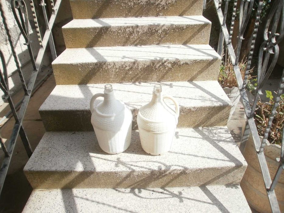 2 garrafões de 5 litros cada
