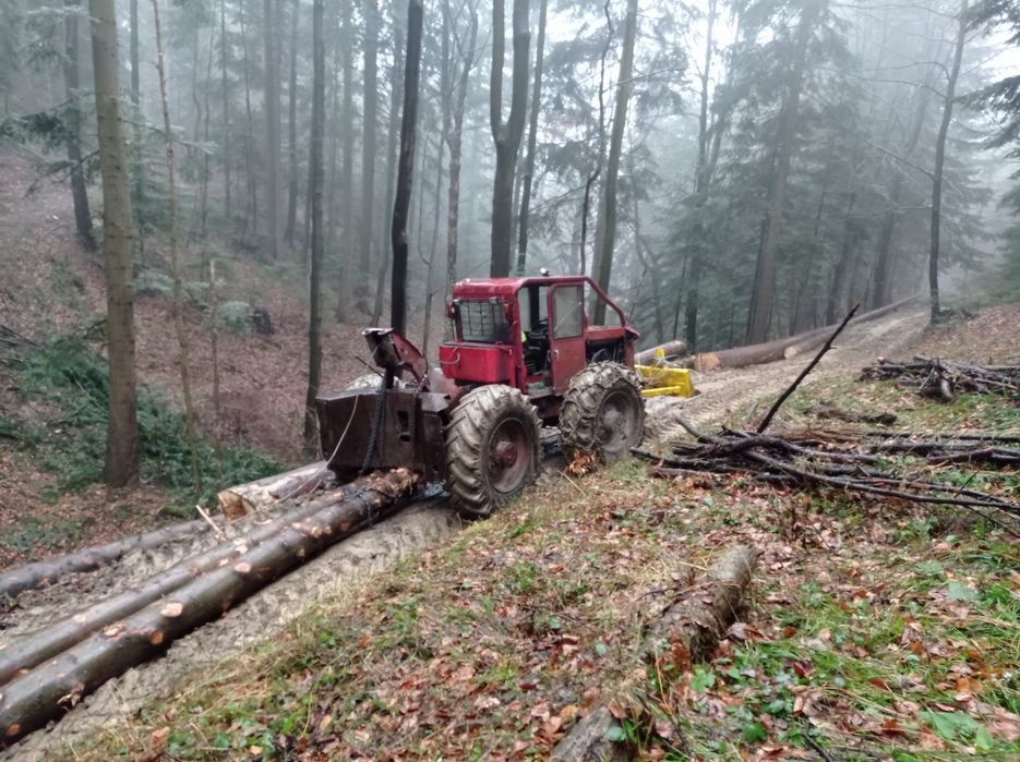 Usługi leśne , Ścinka, zrywka drzew, skup drewna cała Małopolska