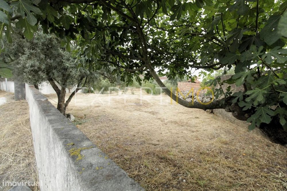 Terreno || 1381m2 || Viabilidade de Construção