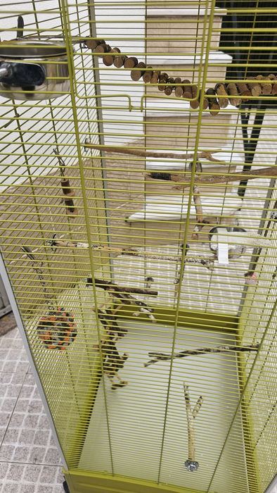 Gaiola pássaeos grande com todos os acessórios