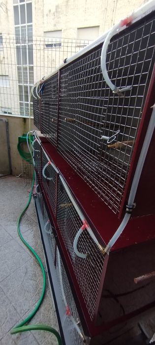 Viveiro com 9 gaiolas