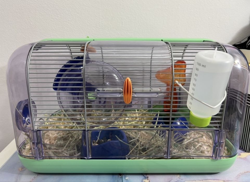 Gaiola hamster como nova