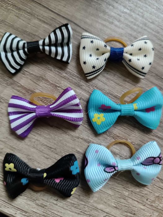 Kokardki gumki dla małego psa