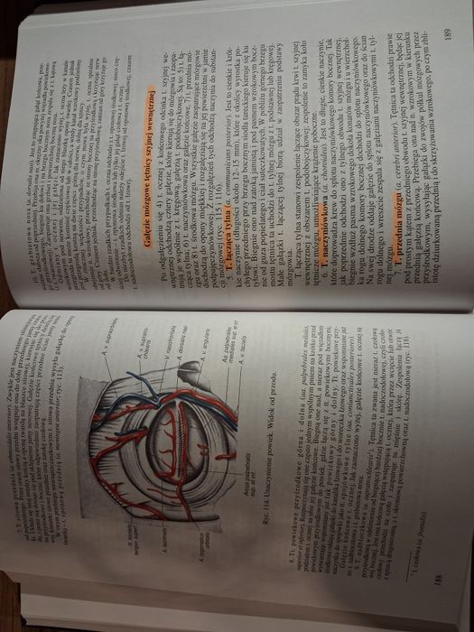 Anatomia człowieka. Tom III. A. Bochenek