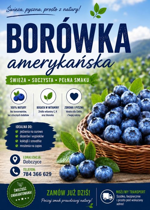 Borówki amerykańskiej z przydomowej plantacji