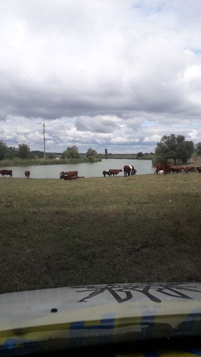 Комплекс ферм 2022