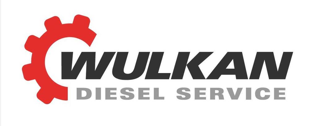 Wtryskiwacz Common Rail DELPHI 285.40276 R00201D do Hyundai Kia