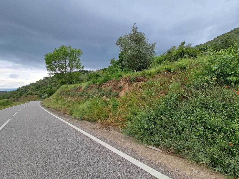Venda de terreno com 2 600 m2 em Babe - Bragança