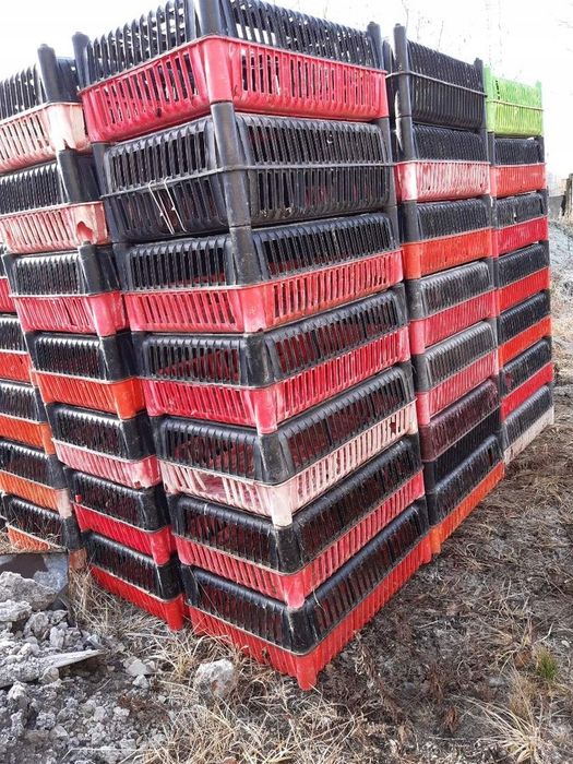 Skrzynki klatki pojemniki do przewozu transportu drobiu kurczaków