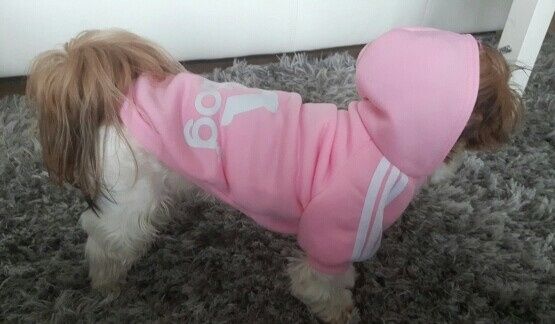 Roupa de cão ADDIDOG nova