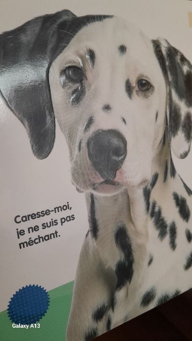 Книжки на французькій мові