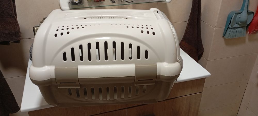 Tranpotadora cão ou gato