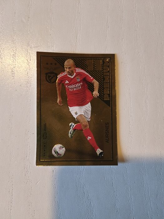 Cromos premium liga 2024-25