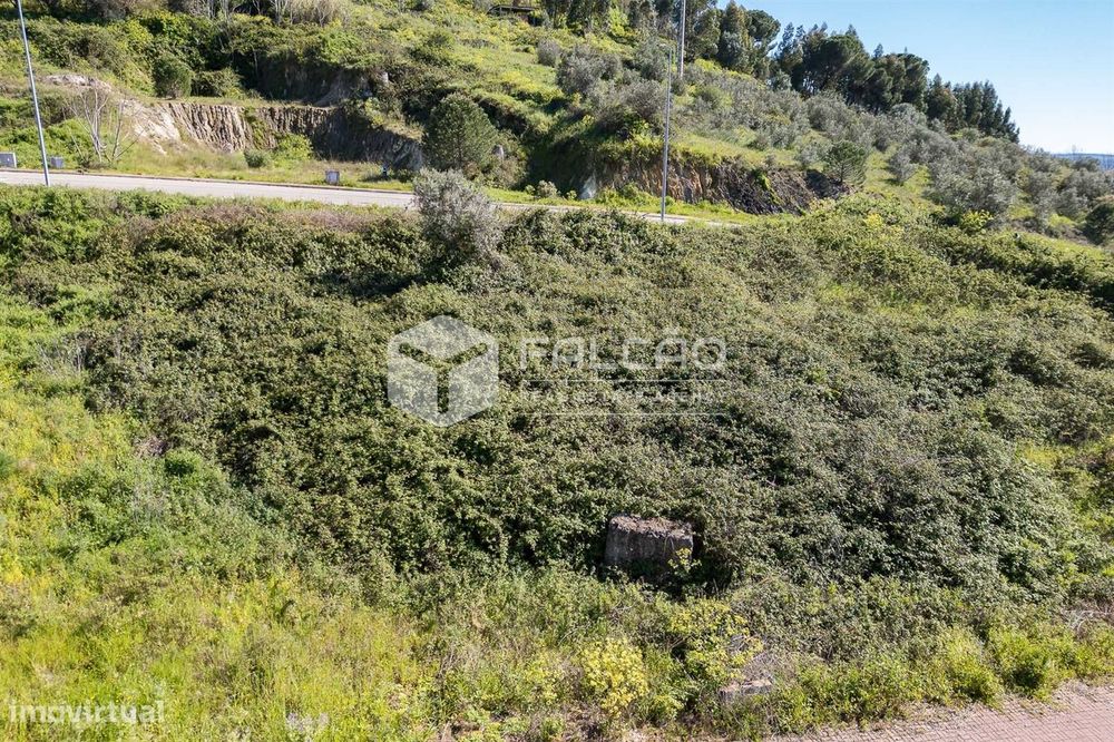 Lote de Terreno  Venda em Sé e São Lourenço,Portalegre