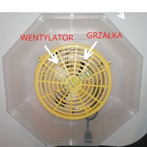 Inkubator, wylęgarka klujnik CLEO 5 41-60 jaj PÓŁAUTOMAT+GRATIS
