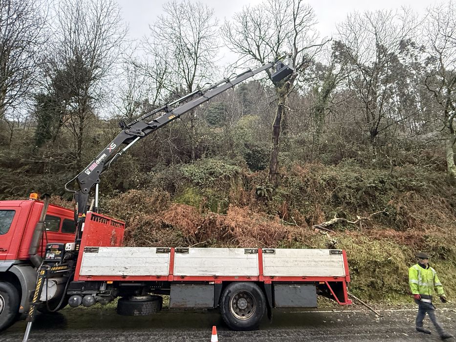 Limpezas Agricolas e Florestais
