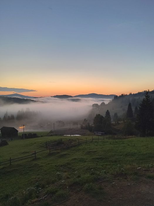 Відпочинок в Карпатах Mountain Dew