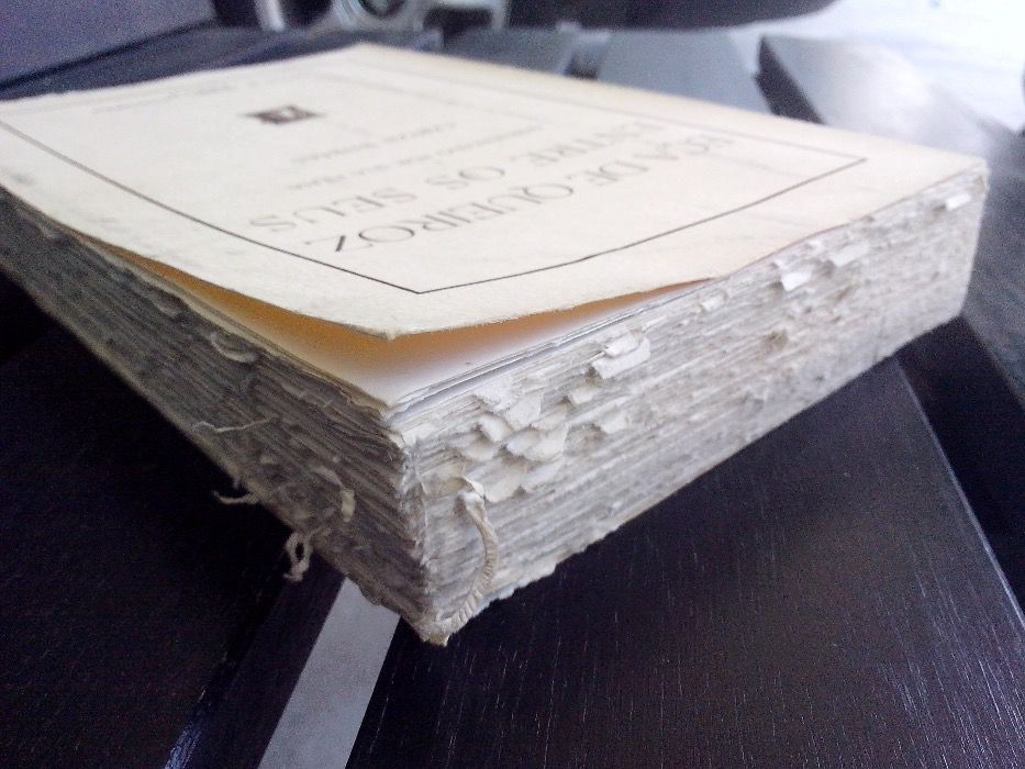 Eça de Queiroz - Entre os Seus