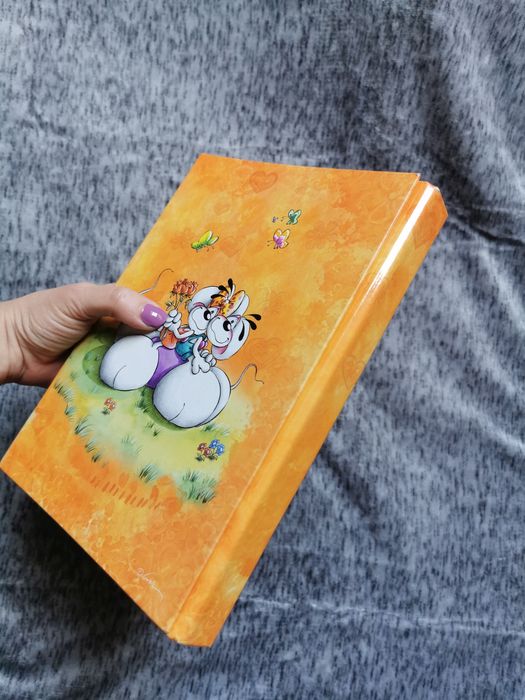 Organizer na notatki A5 dziecko Diddl