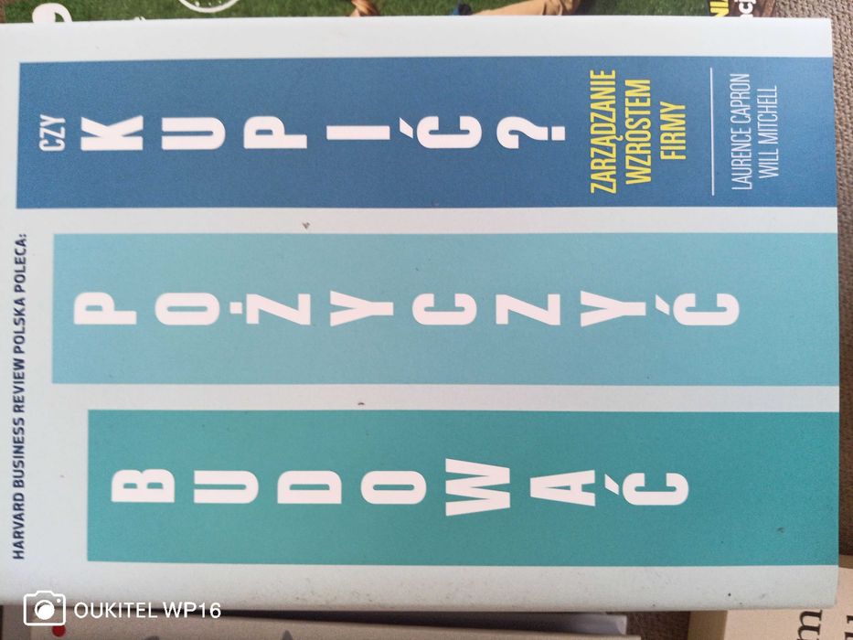 Budować, pożyczyć czy kupić książka biznesowa