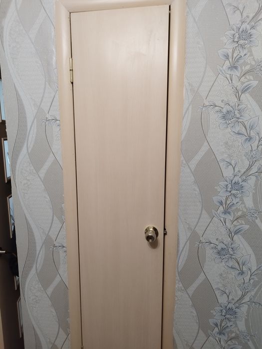 Двері в кладовку 200грн